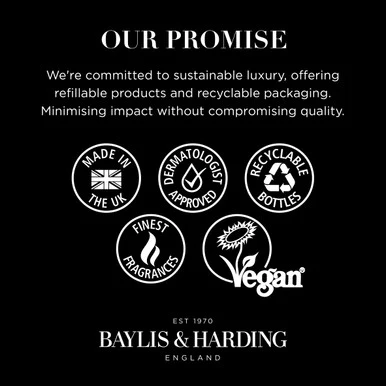 Baylis & Harding Vetiver, Cedar & Lemongrass Anti-Bacterial Hand Wash 500ml - Image 2